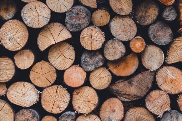 Troncos de madera.